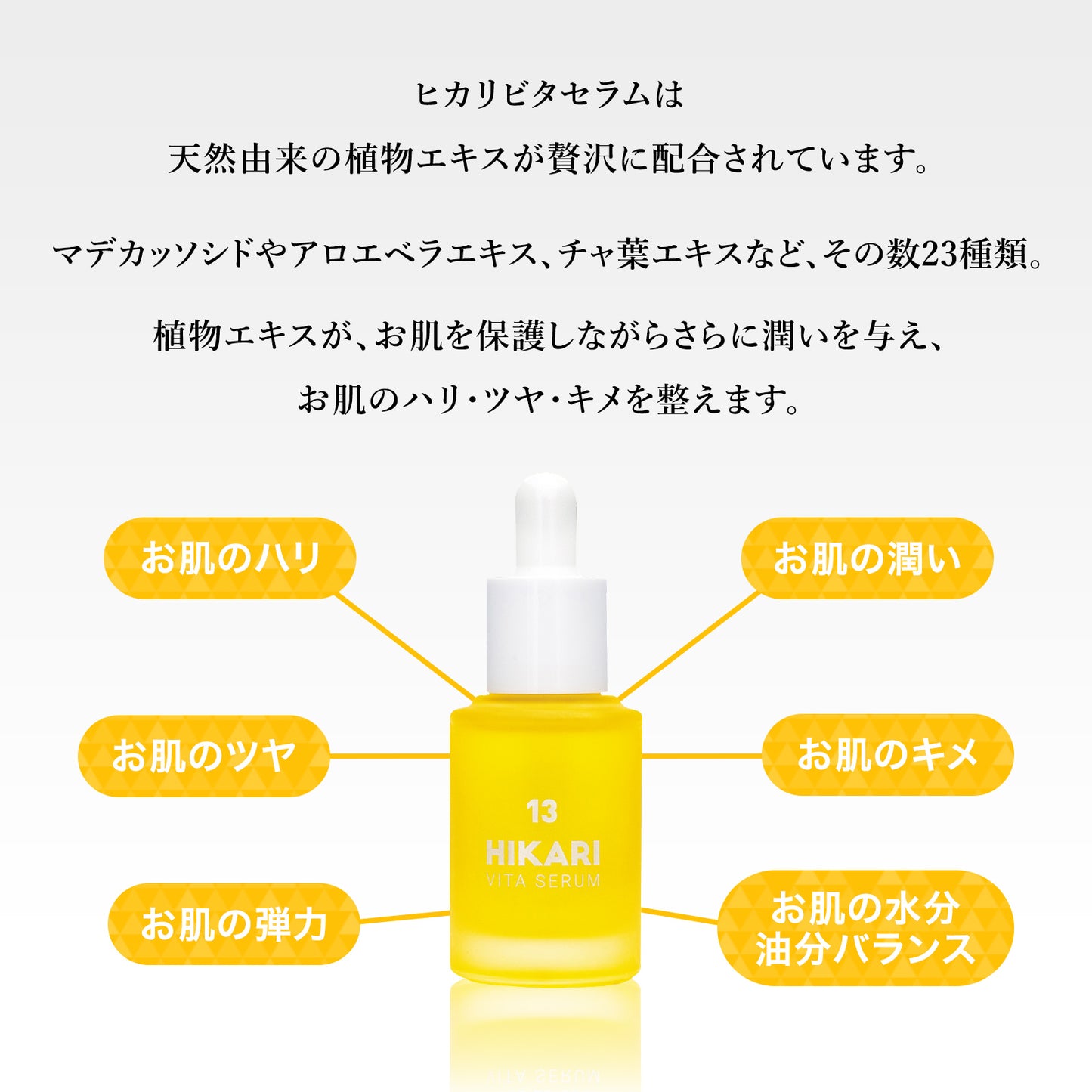 ヒカリビタセラム